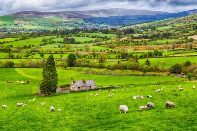 Your Workout Isn’t Just Physical — It’s Mental