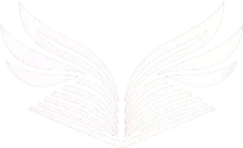 travisionfoundation.com